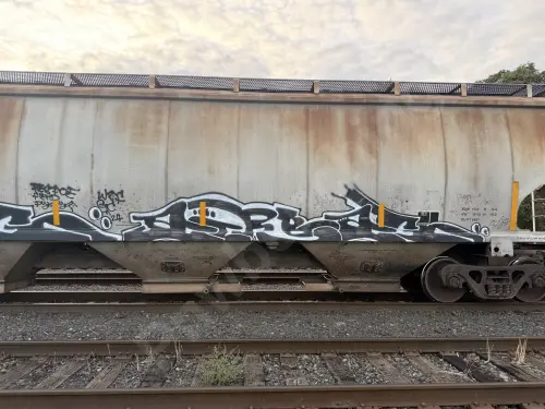 MWCX480463