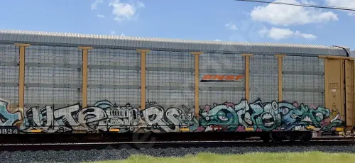Train photo