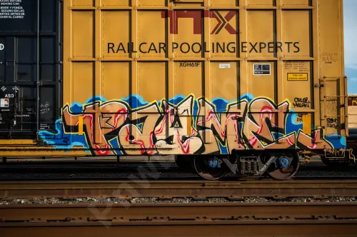 TBOX635916