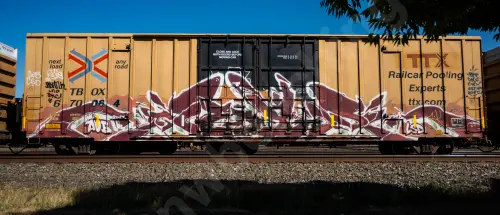 TBOX670064