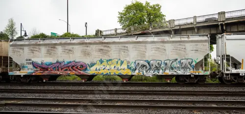Train photo