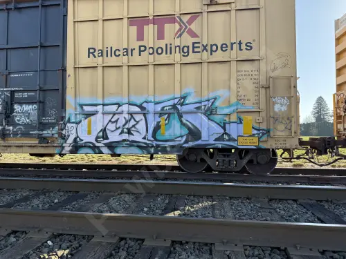 FBOX505545