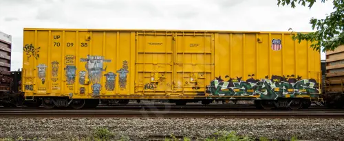 UP700938
