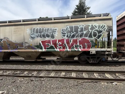 MWCX480481