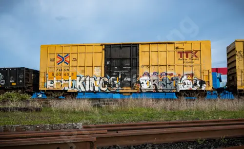 FBOX502433