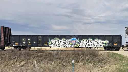 Train photo