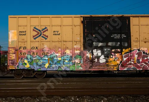 FBOX505102