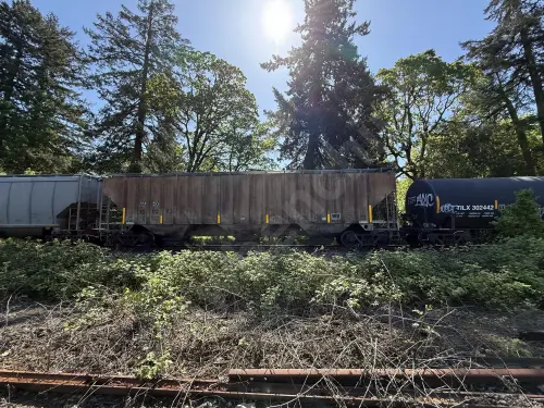 Train photo