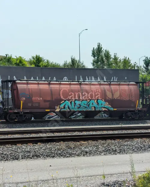 Train photo