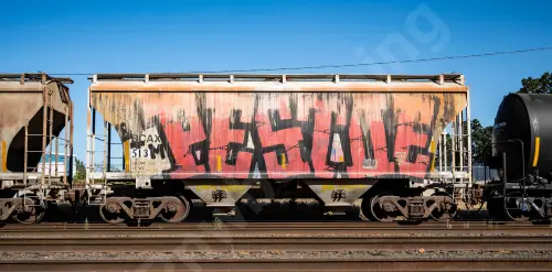 BCAX513