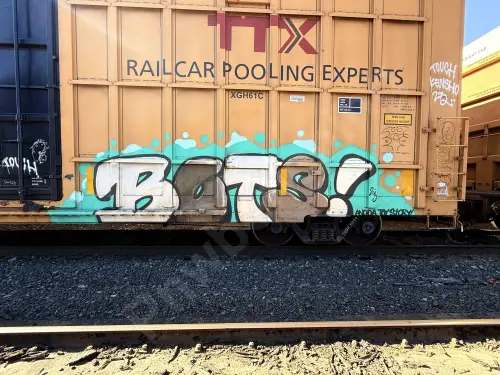 TBOX633411