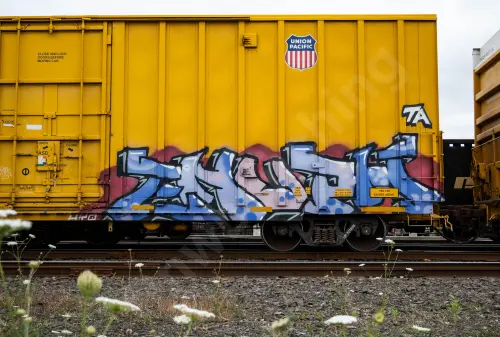 UP701228