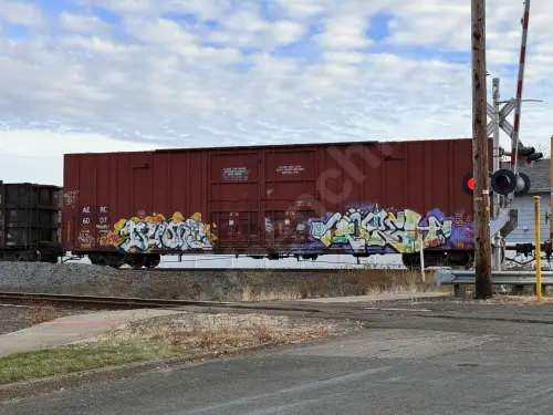 AERC6007