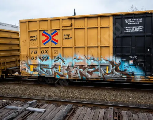 TBOX639974