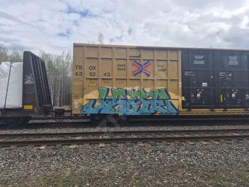 TBOX635243