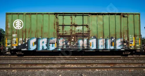 IBT19295