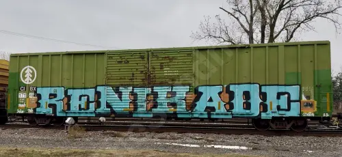Train photo
