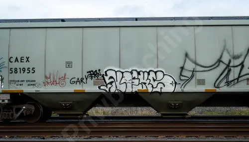 CAEX581955