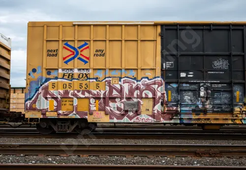 FBOX505535