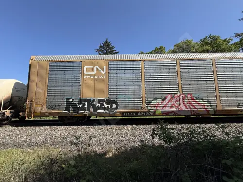 CTTX634306