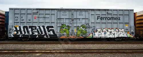 FXE874718