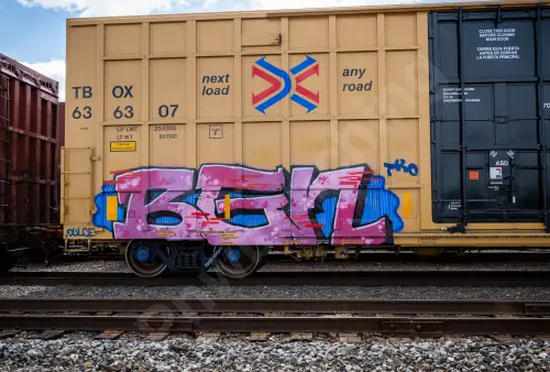 TBOX636307