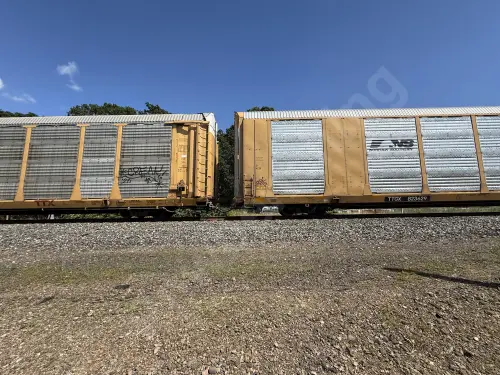 TTGX823629