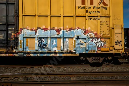 FBOX504133