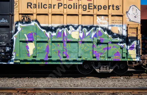FBOX505515