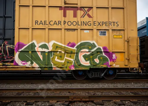 TBOX635793