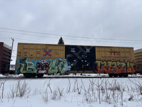 Train photo