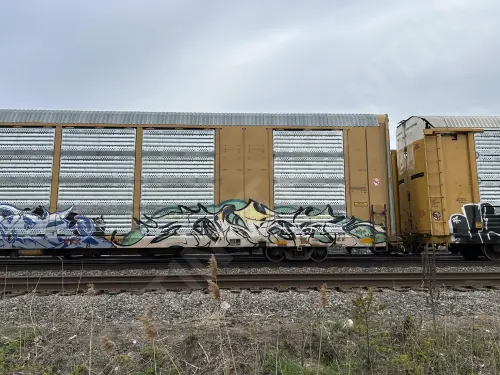 TTGX821082