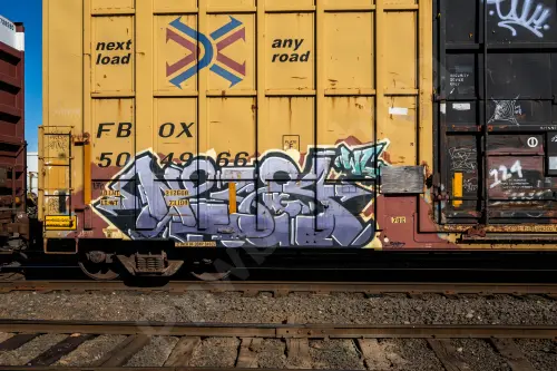 FBOX504966