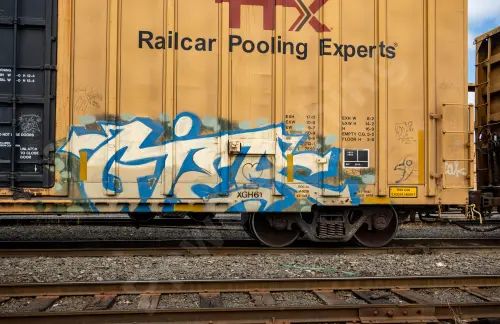 TBOX663051