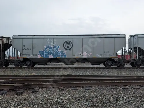 CP650566