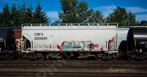 CBFX305981