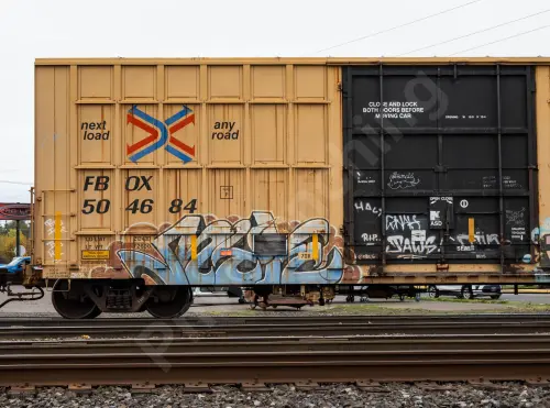 FBOX504684