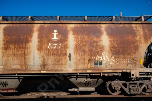 IC799802