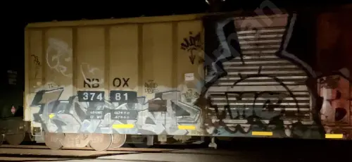 RBOX37481