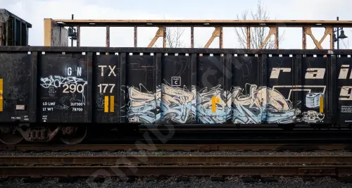 GNTX290177