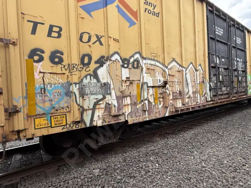 TBOX660490