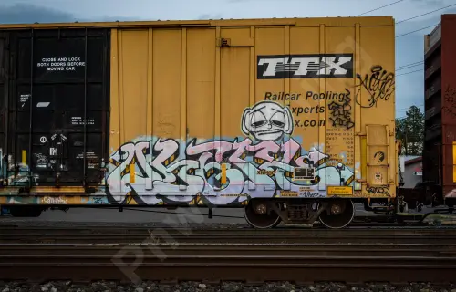 TBOX665534