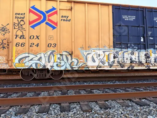 TBOX662403