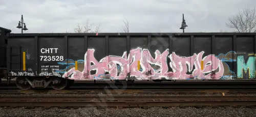 CHTT723528
