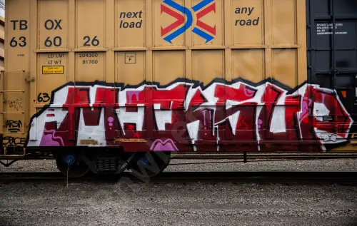 TBOX636026