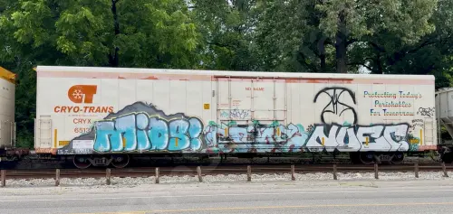 CRYX6513