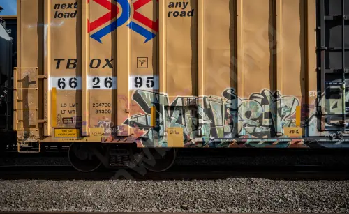TBOX662695