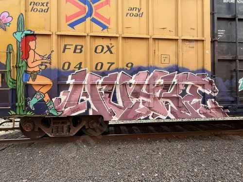 FBOX504079