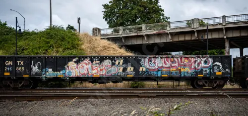 GNTX295865