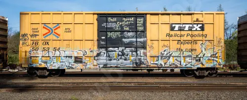 FBOX505354